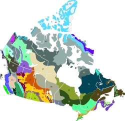 Terrestrial ecoregions CAN