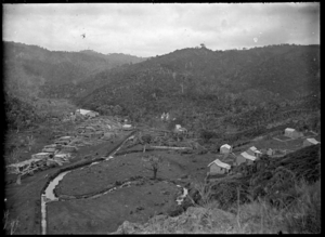 Timber settlement, Piha ATLIB 136094