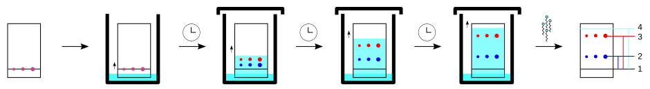 Tlc sequence