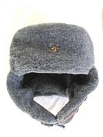 Ushanka of Soldier of Soviet Army-6