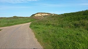 Warren Hill from Hengistbury Head.jpg