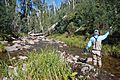 West branch Kiewa River 03