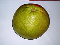 Whole pomelo