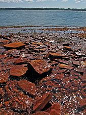 Wisconsin's potawatomi state park