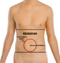 Abdomen-periumbilical region