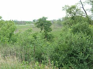 Aetna wetlands