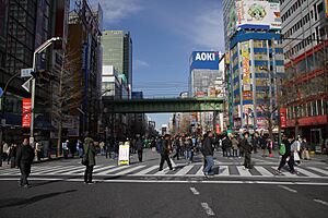 Akihabara 2011012302