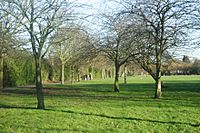 Beckenham Place Park.jpg