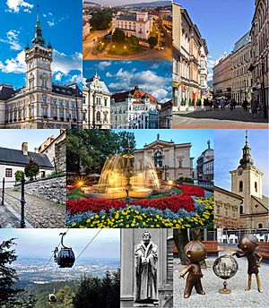 Bielsko-Biała. Top: view of Bielsko-Biała from Szyndzielnia Hill, 2nd row (left to right): Bielsko-Biała City Hall, Pod Orlem Convension Center, Evangelical Saviour Cathedral, 3rd row: Wojska Polsiego Square, Sulkowski Castle, Eleven Listopada Street, bottom: Polish Theater in Adama Mickiewicza, Saint Nicolas Cathedral, Martin Luther Cathedral, Zaklady Eatona Wapienica center