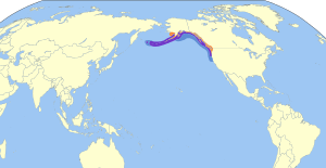 Brachyramphus marmoratus map.svg