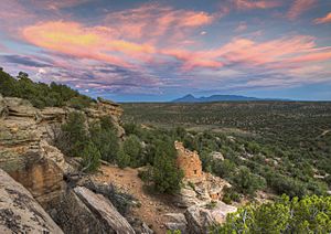 Canyons of the Ancients ruin