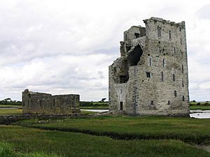 Carrigafoyle Castle 2008.jpg