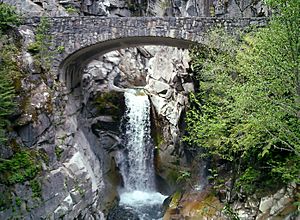 Christine Falls