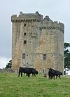 Clackmannan Tower.JPG