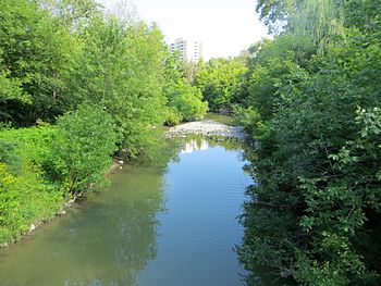 Cooksville Creek.jpg