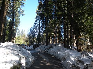 Driveway to Tenaya Lodge