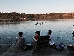 Ducks on Long Pond.agr