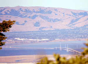 Dumbarton Bridge from Skeggs