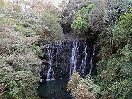 Elephant Fall of Shillong