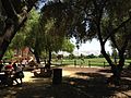 Emma Prusch Farm Park Playground