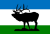 Flag of Elk Ridge