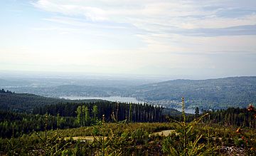 Galbraith Mountain Bellingham view.jpg