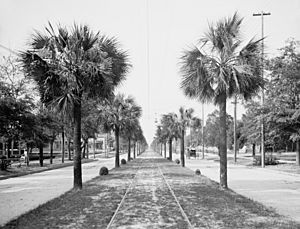 Jax Main Street 1903