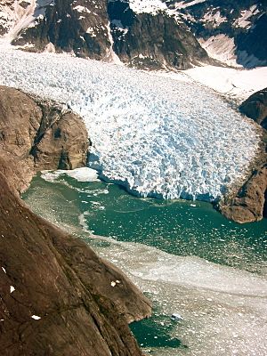 Le Conte glacier