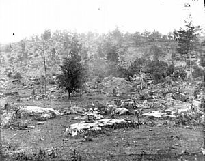 Little Round Top 1863