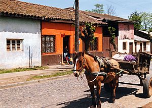 Typical Chilean houses of Countryside