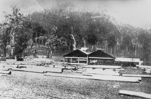 Mount Gipps Sawmill southern Queensland ca. 1925f