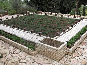 Mount Herzl - Independence War Plot IMG 1286