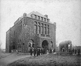 Moving Jumbo into Barnum Museum.jpg