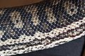 Murray darling carpet python scalation