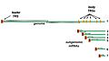 Nested subgenomic RNA