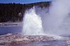 SteadyGeyser-Mahler1969.jpg