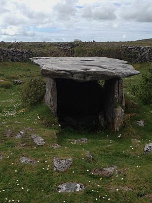 The Gleninsheen Dolmens.jpg