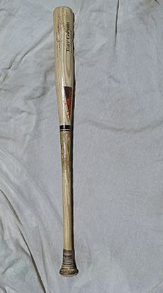 Tony Gwynn's Bat-1