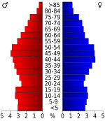 USA Roane County, Tennessee.csv age pyramid