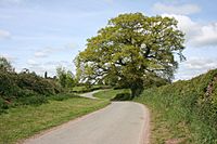 Wirswall Road, Marbury