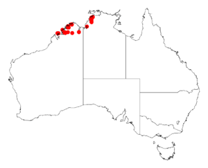 Acacia oligoneuraDistMap650.png