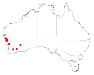 Acacia oxycladaDistMap665.png