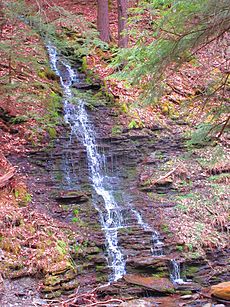 AlleganyBridalFalls