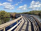 Anhinga Trail boardwalk.JPG