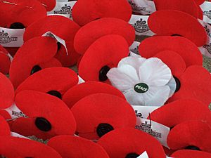 Anzac poppies