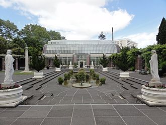 Auckland winter garten tropic house.JPG