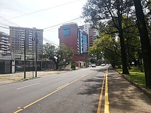 Avenida las Américas zona 14