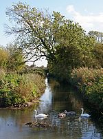 Barrow Blow Wells Nature Reserve - geograph.org.uk - 1006466.jpg