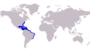 Carangoides ruber distribution.PNG