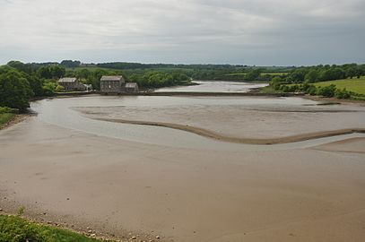 Carew Tidal Mill (6852)